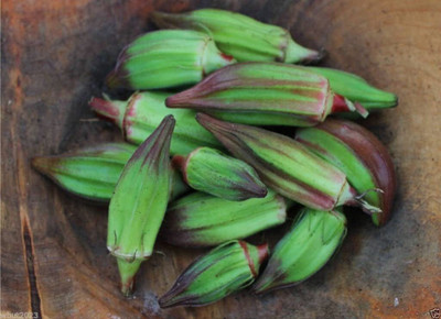 CYBEXIS PAU-45 - Lady Finger Red Okra Bhindi Gumbo - (1350 Seeds) Seed(1350 per packet)