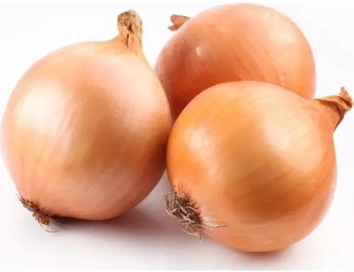 WATIKA Onion Yellow Onion Shallot Seed(2000 per packet)