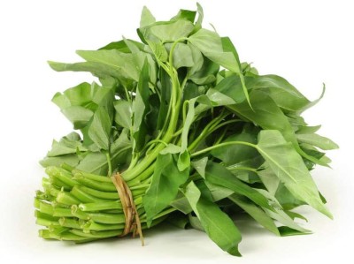 VibeX PAU-11 - Water Spinach Kangkong - (2250 Seeds) Seed(2250 per packet)