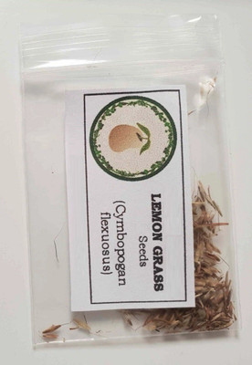 CYBEXIS VVI-21 - Lemongrass Herbs - (750 Seeds) Seed(750 per packet)