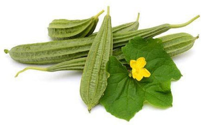 KANAYA Dhari Tori F1 Hybrid Vegetable Seed(9 per packet)
