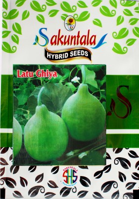 Sakuntala Hybrid Seeds Bottle Gourd Seeds Round Gourd Seeds Bottle Gourd Round Seeds Latu Ghiya Garden Seed(55 per packet)