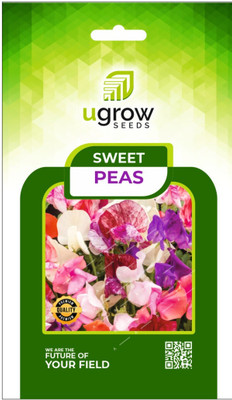 fixeded FL-150-SWEET-PEAS Seed(40 per packet)