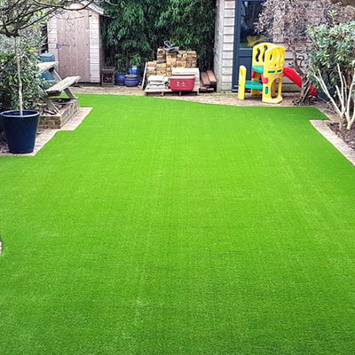 SREE Lawn Grass,Pure Original Seed for Gardening, Park, Playground, Home Garden,Grass Seed(6000 per packet)