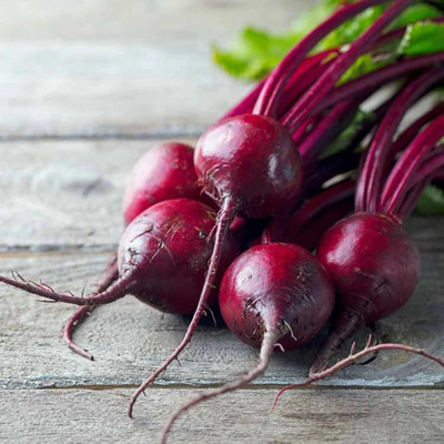 LPR CHUKANDAR,,BEETROOT Seed(30 per packet)