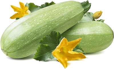 Qualtivate KXL-9AT Zucchini Squash Seeds Seed(30 per packet)