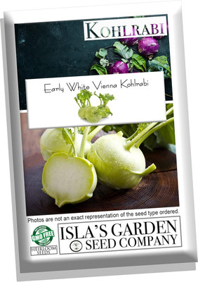 WILLVINE MAH -VI Early White Vienna Kholrabi/Knolkhol F1 Hybrid [50g] Seed(15000 per packet)