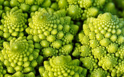 WILLVINE XLL-581 F1 Romanesco Broccoli Seed Seed(200 per packet)
