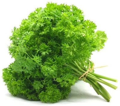 SOWCAN Parsley - curly, intense green Seed(100 per packet)