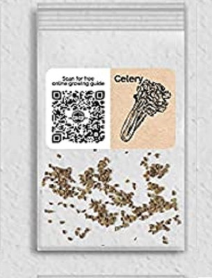 WILLVINE Hybrid Celery-1250 Seeds Seed(1250 per packet)