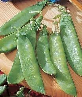 CRGO PEA , MATAR Seed(120 per packet)