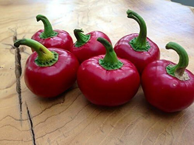 KNESSiN Red Cherry Bomb Pepper Seed(200 per packet)