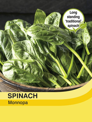 LPR SPINACH , PALAKH Seed(700 per packet)