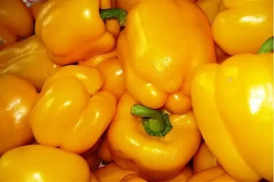 Aro Yellow Capsicum, Capsicum, Bell Pepper Seed(11 per packet)