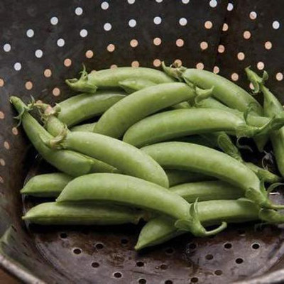 VibeX ® VXI-546 Seeds Pea Snap Sugar Seed(50 per packet)