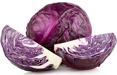 WILLVINE VNR -XI GARDEN Red Cabbage Seeds [2.5g] Seed(750 per packet)