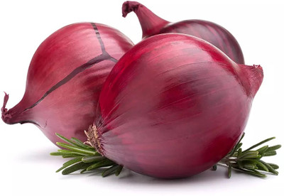 WATIKA Dark Red Onion/Pyaj Seed(800 per packet)