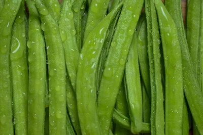 XOLDAA CLUSTER BEANS SEEDS Seed(45 per packet)