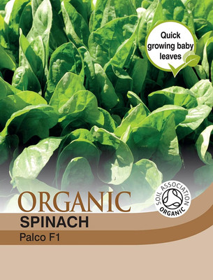 KNESSiN Hybrid Spinach Palco F1 Hybrid (Organic) Seed(200 per packet)