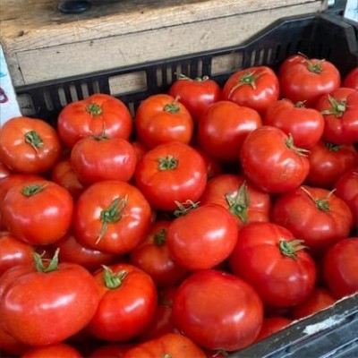 Aywal Red Cherry tomato Seeds (Hybrid) For Your Home Gardern Seed(900 per packet)