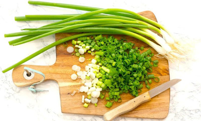 KNESSiN High Yield Batun Spring Onion Seeds for Terrace Gardening-(2400 Seeds) Seed(2400 per packet)