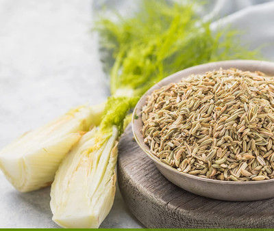 VibeX LX-13 - Common Fennel (Foeniculum vulgare) - (2250 Seeds) Seed(2250 per packet)