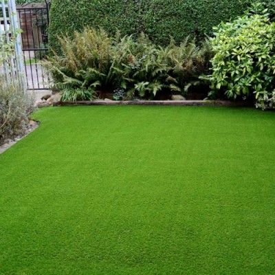 SeeGreen Maxican Carpet Grass Seeds, Lawn Grass Gardening Seed(50 g)