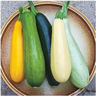 Qualtivate GBPT-8A Zucchini Mix Seed for Planting Seed(30 per packet)