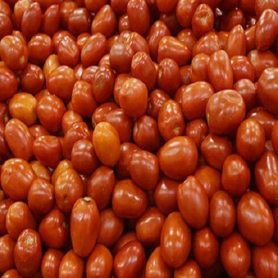 Avysa Tomato Seed(200 per packet)