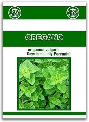 CYBEXIS GBPUT-44 - Oregano - Italian- - (1350 Seeds) Seed(1350 per packet)