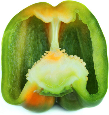 CYBEXIS High Germination Capsicum Sweet Bell Pepper 2400 Seeds Seed(2400 per packet)