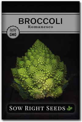 Qualtivate FXL-5AT Broccoli Romanesco Seeds Seed(300 per packet)