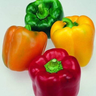 ibains Shimla mirch seed Seed(110 per packet)