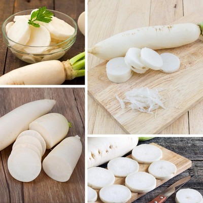 Qualtivate PUA-1A F1 Hybrid Mooli/Radish Seeds Seed(300 per packet)