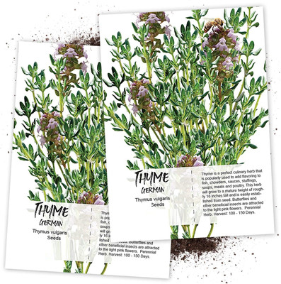 WILLVINE Thyme Culinary Herb (Thymus vulgaris)-2 x Packet Seed(200 per packet)