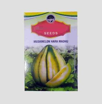 CYBEXIS ATS-67 - Hara Madhu Kharbuj / Musk Melon - (1350 Seeds) Seed(1350 per packet)