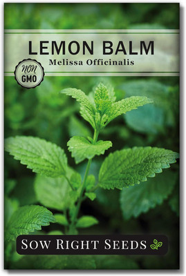 Qualtivate HUA-4A Lemon Balm Seed(200 per packet)