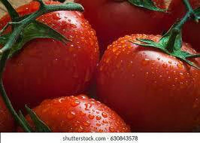 XOLDAA kashmiri hybrid tomato seeds Seed(100 per packet)