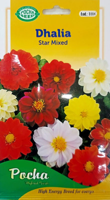 KRASHAK Dhalia Flower seeds Seed(2 per packet)