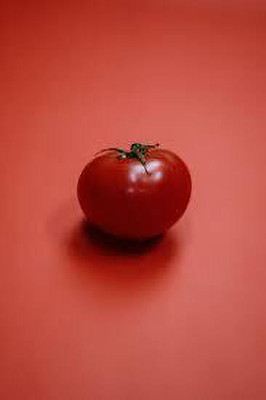 XOLDAA kashmiri hybrid tomato seeds Seed(95 per packet)