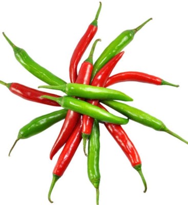 greenfarm NVX- Chilli Seeds/Mirchi Seeds , Best Quality Seeds ,400 X Seeds ,hbf196 Seed(400 per packet)