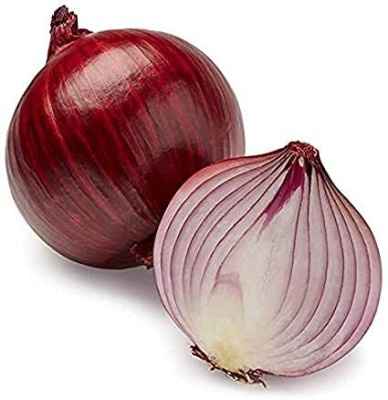 TRICONE Red Africa Hybrid Outdoor Pyaaj Kanda Onion 5000 Seeds F6 Seed(5000 per packet)