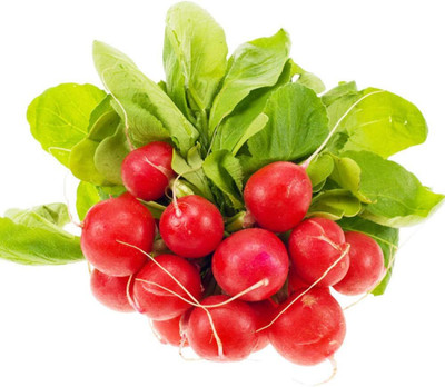KNESSiN XIV-18 Large Radish Seed(200 per packet)