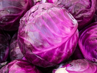 ibains Red cabbage seeds pack of 10 Seed(10 per packet)