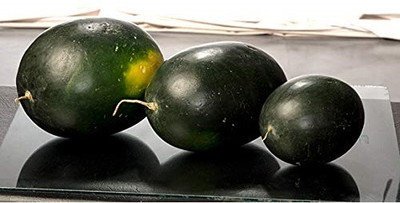 WILLVINE Sharbati-46 F1 Hybrid Water Melon Seeds-[125 Seeds] Seed(125 per packet)