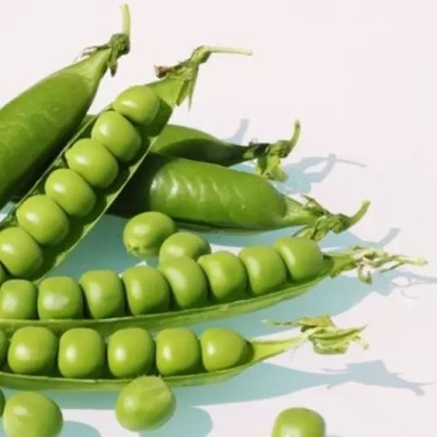 MYLAWN Snap Peas / green peas Seed(100 per packet)