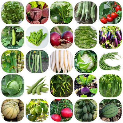 DECORPLIX Vegetable seeds, Fruits seeds, Vegetable and fruit seed combo Seed(25 per packet)