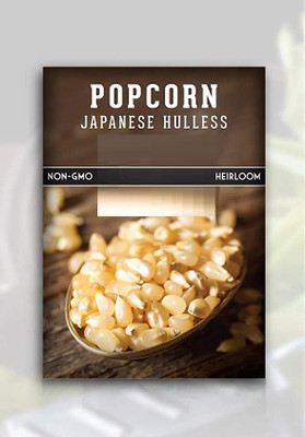Qualtivate PUA-2A Japanese Hulless Popcorn Seed Seed(400 per packet)