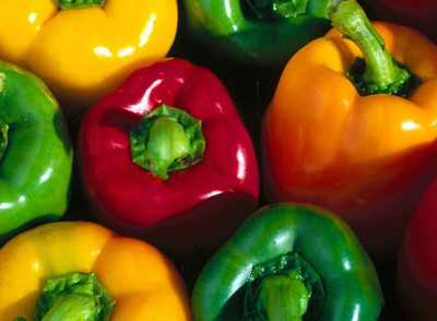 VibeX ® LXI-525 Capsicum Rainbow Mix Seeds Seed(200 per packet)