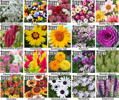 Agrey combo of 20 variety flower seeds with instruction manual. Seed(20 per packet)